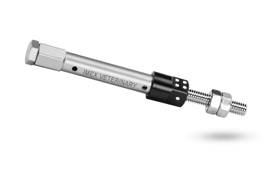 IMEX Linear Motor