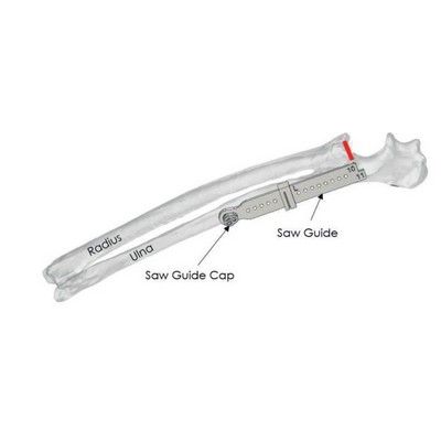 Kyon PAUL-II Sawguide