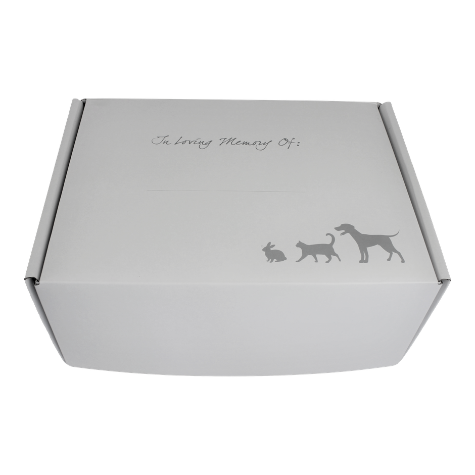 Knight Benedikt Cat Casket