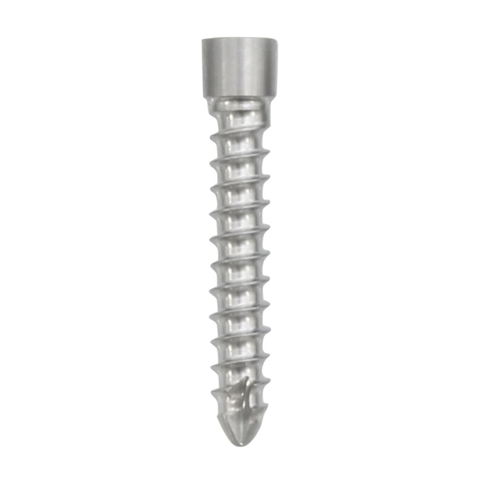 Knight Benedikt 2.5mm Italian-Style Locking Screw Hex Self-Tapping
