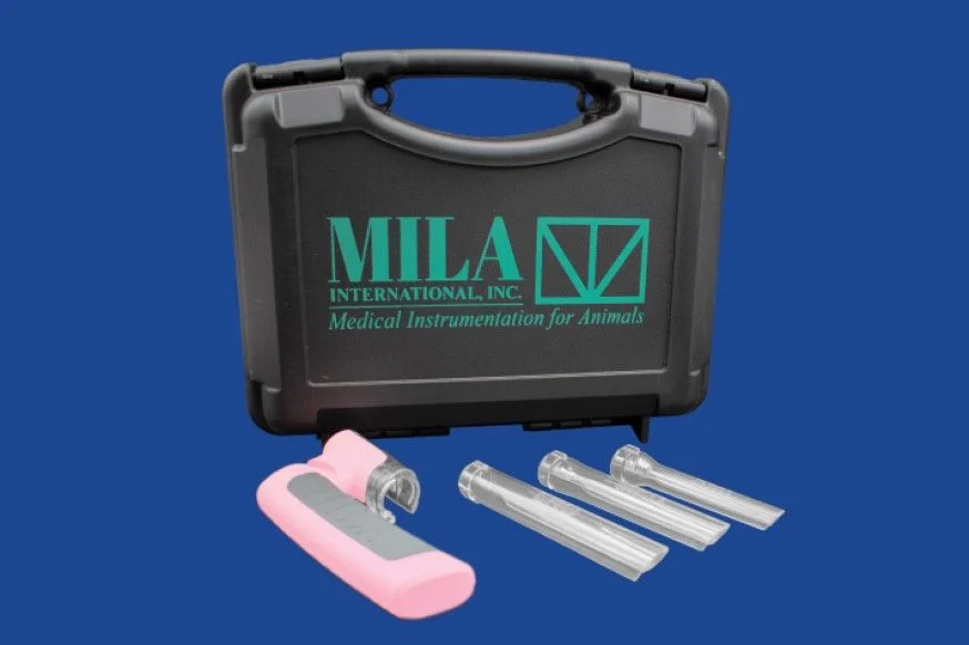 Mila U-Light Urinary Access System