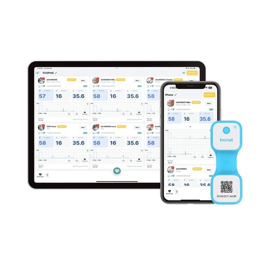 Bionet OPet Curv Monitor