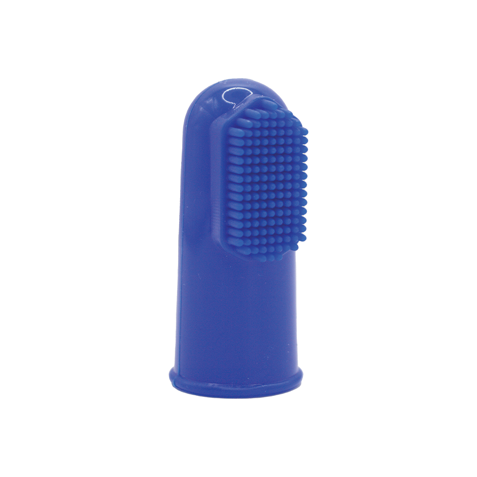 Knight Benedikt Pet Toothbrush