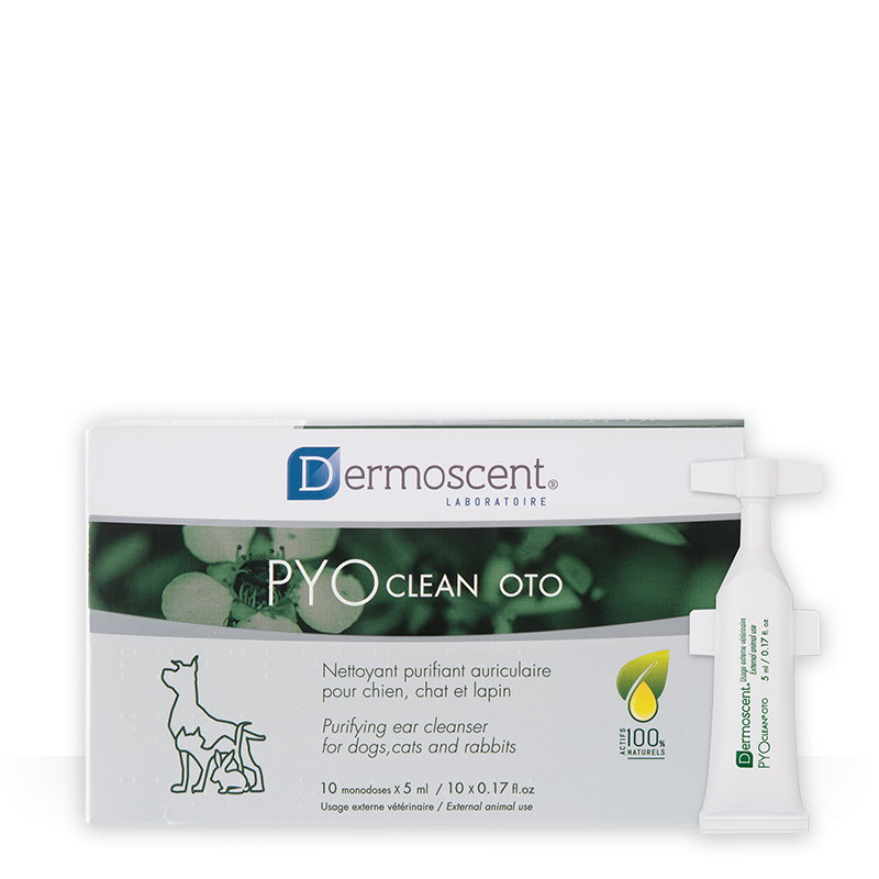 Dermoscent PYOclean OTO