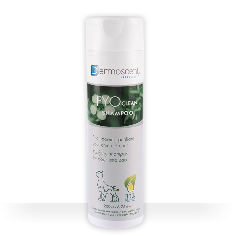 Dermoscent PYOclean Shampoo