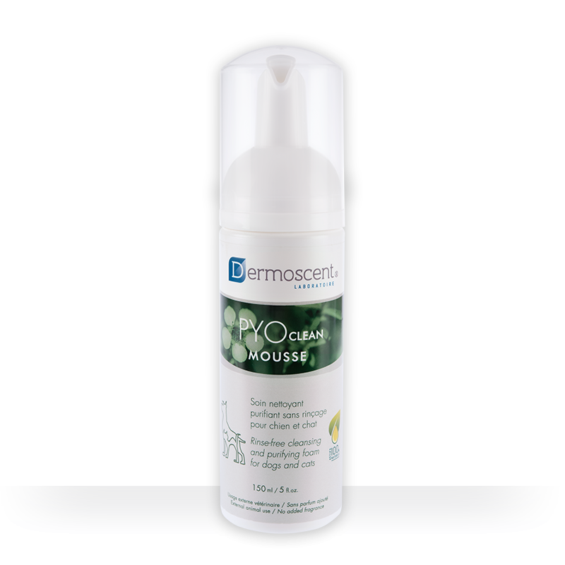 Dermoscent PYOclean Mousse