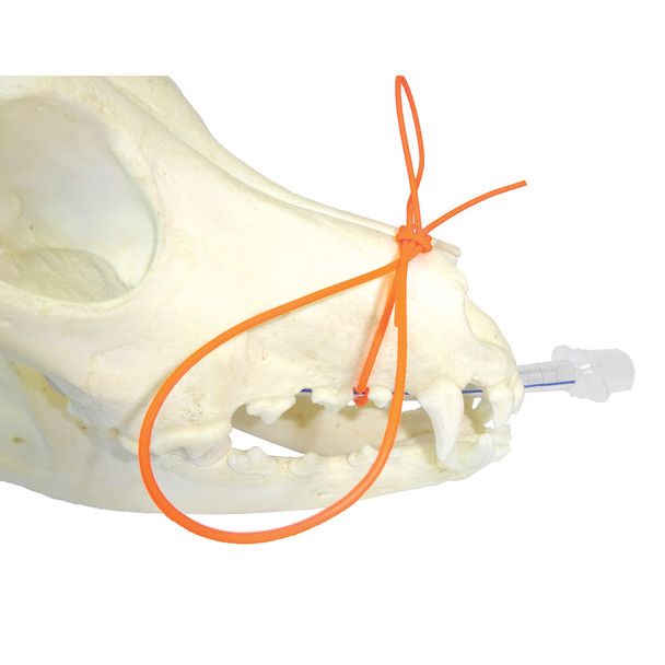 iM3 Anesthetic/Endotracheal Tube Ties